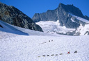 Photo of skagway dog sled glacier tour