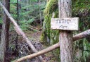Photo of skagway hiking trail