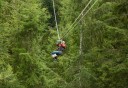 Photo of soaring through the trees at bear creek