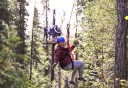Photo of soaring through the trees in denali