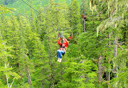 Photo of tongass national forest zipline