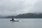 Photo of whale on auke bay