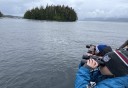 Photo of whale watching wildlife