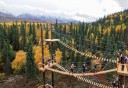 Photo of zipline platforms in denali