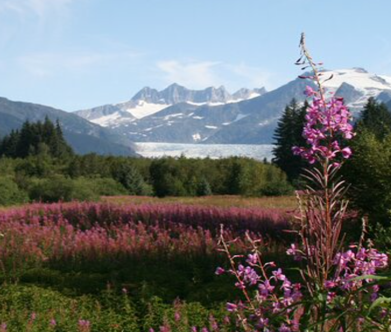 Photo of Alaska Juneau Highlights