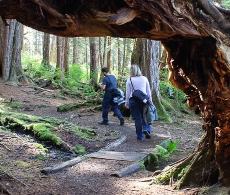 Photo of Beaver Lake Sitka