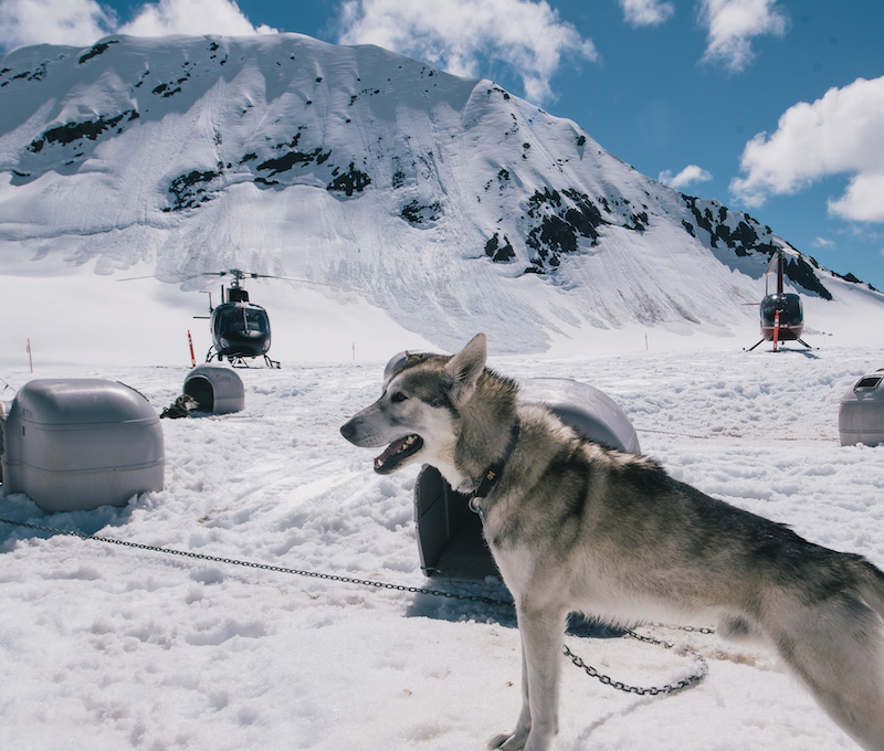 Photo of Doglsed Glacier Anchorage