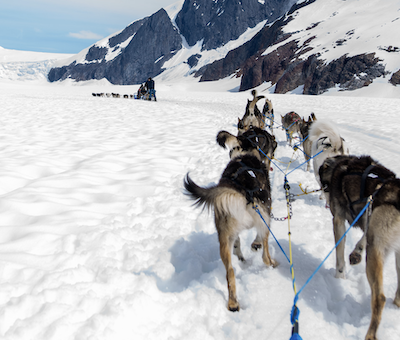 Photo of Extended Dog Sledding Alaska