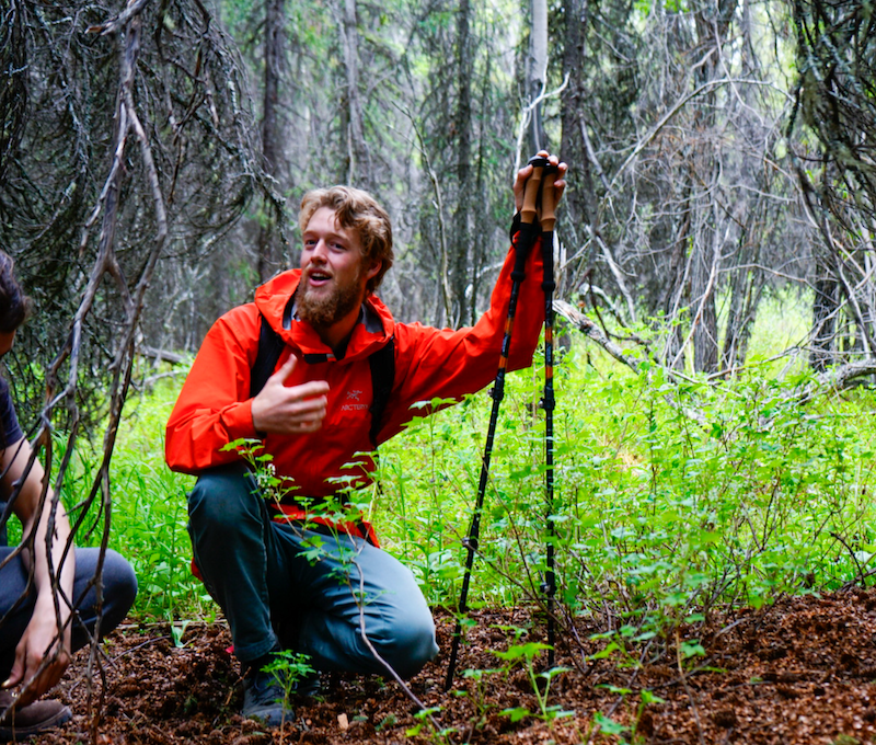 Photo of Hiking Denali Walking