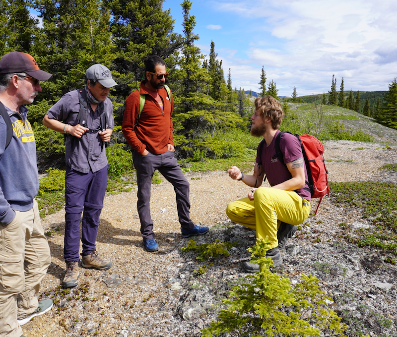 Photo of Hiking Denali