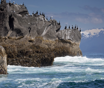 Photo of Homestead Wildlife