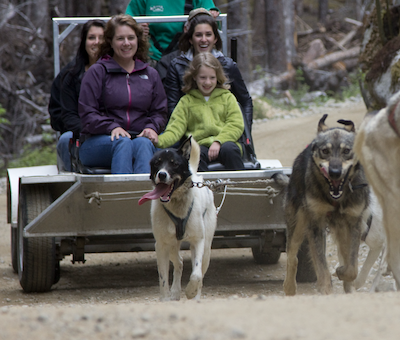 Photo of Mushing Skagway