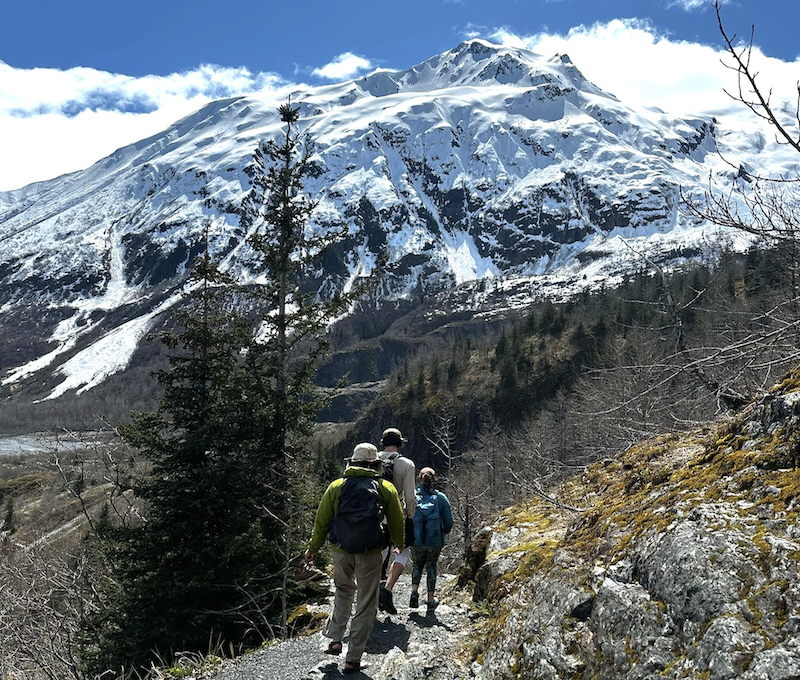 Photo of Seward Glacier Cover