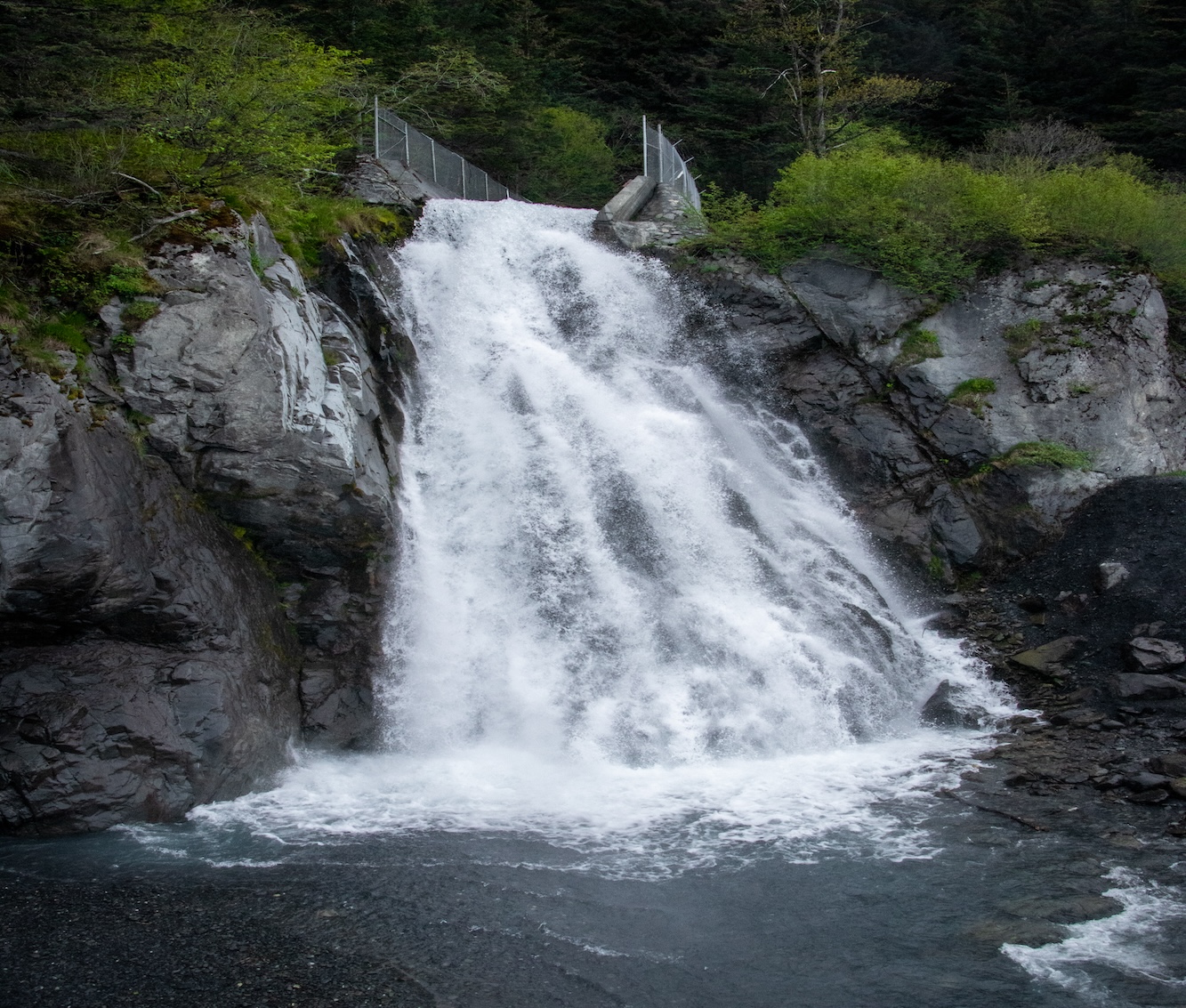 Photo of Seward Waterfall Cover