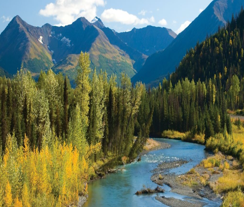 Photo of Seward to Anchorage Wildlife Tour