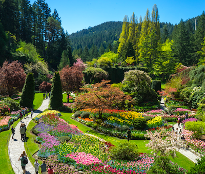 Photo of Victoria Gardens