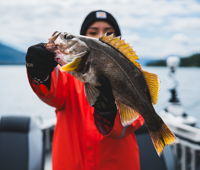 Photo of Wilderness Ketchikan Fishing