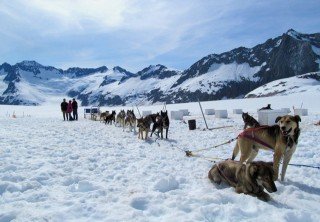 Photo of dog sled tour in juneau