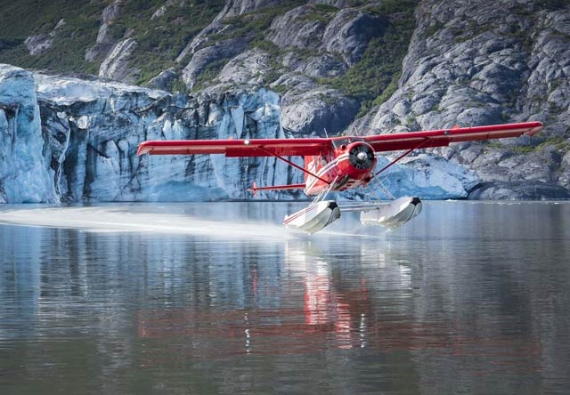 Photo of glacier wildlife flightseeing tour 1 thumbnail