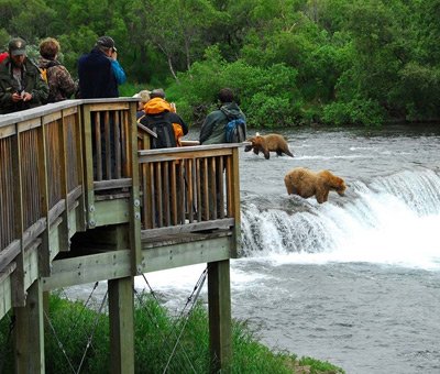 Photo of katmai national park bear viewing experience 1 thumbnail