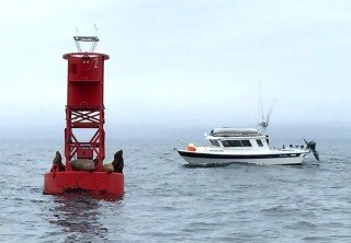 Photo of marine wildlife excursion tour