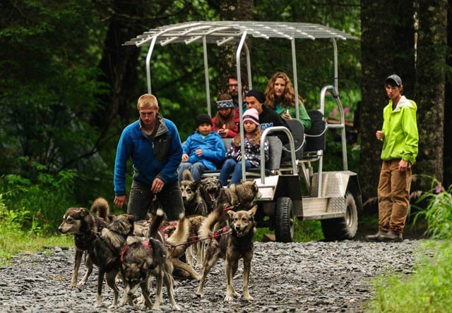 Photo of sled dog ride seward alaska thumbnail