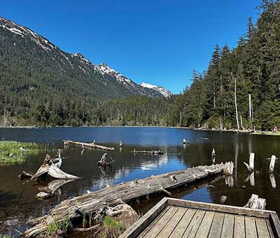 Photo of wildlife discovery water taxi scenic expedition 6 thumbnail