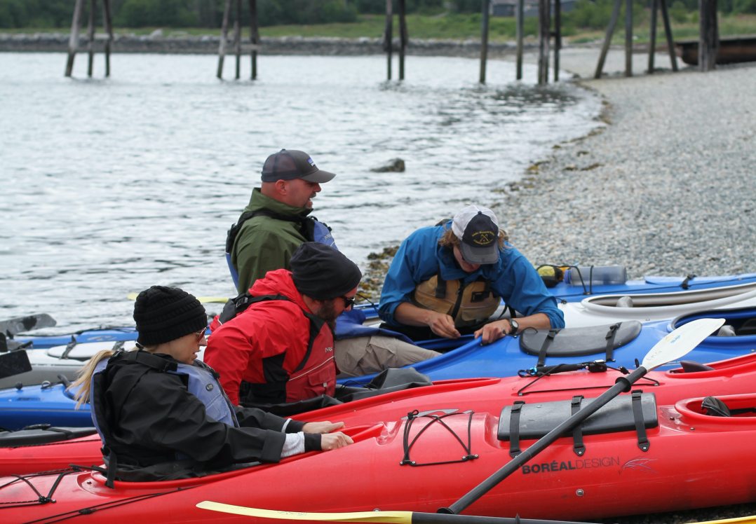 Haines Inside Passage Kayaking Tour Alaska Shore Excursions