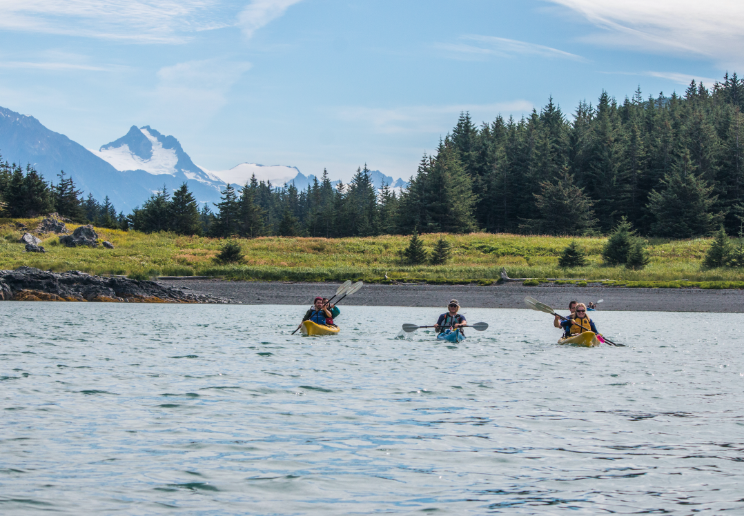 Haines Inside Passage Kayaking Tour Alaska Shore Excursions