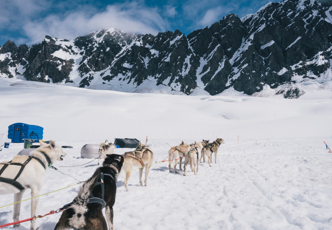 Anchorage Dog Sledding And Glacier Helicopter Tour | Alaska Shore ...