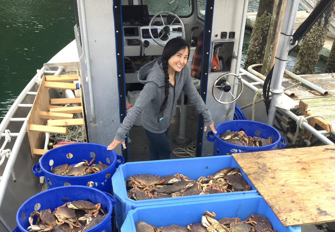 Icy Strait Village Tour and Crab Feast Alaska Shore Excursions