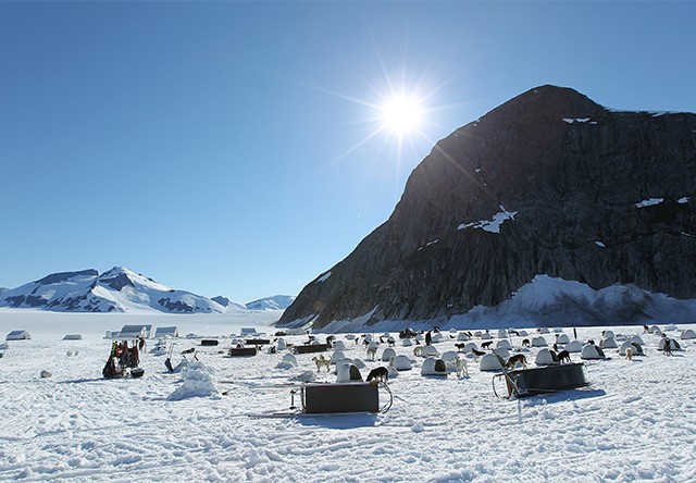 dog sledding in juneau