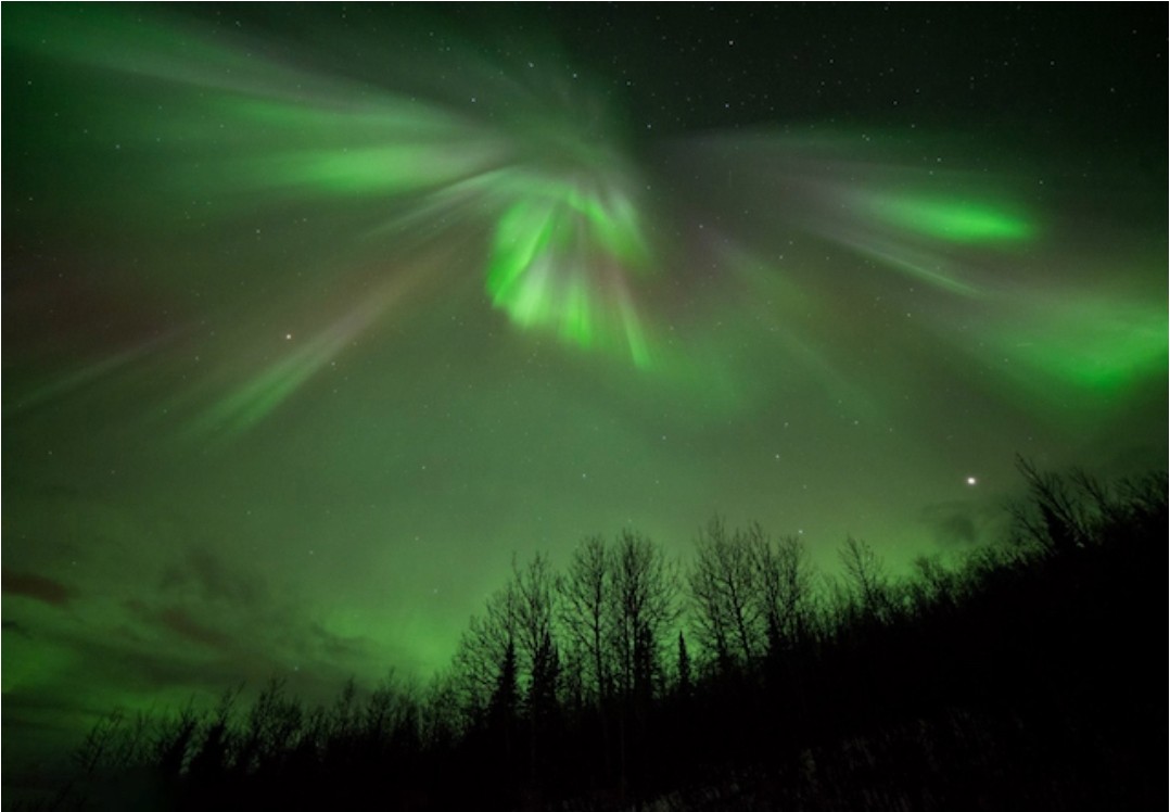 Denali Aurora Quest Northern Lights Tour Alaska Shore Excursions