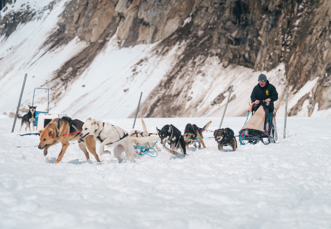 Skagway Glacier Sled Dog Experience by Helicopter Tour - Main Image