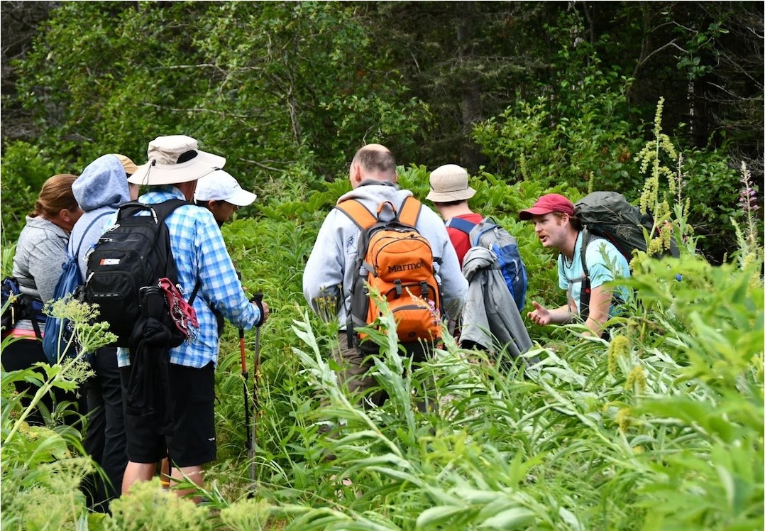 Skagway Laughton Glacier Expedition | Alaska Shore Excursions