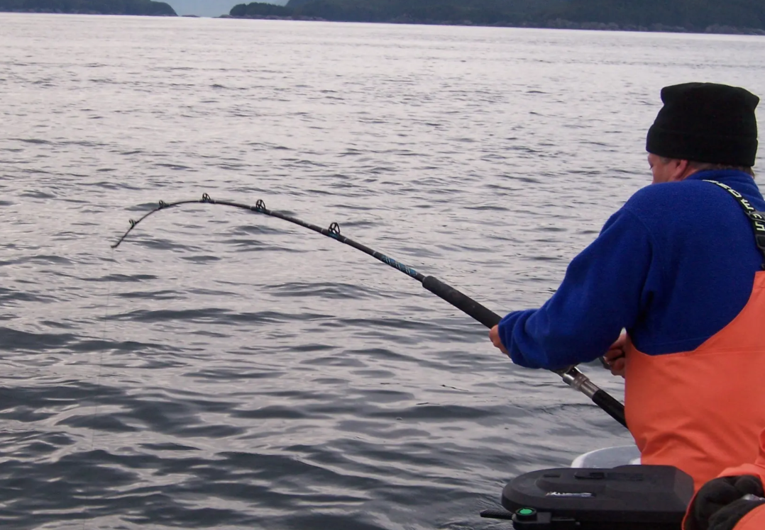 Juneau Halibut Fishing Tour Alaska Shore Excursions
