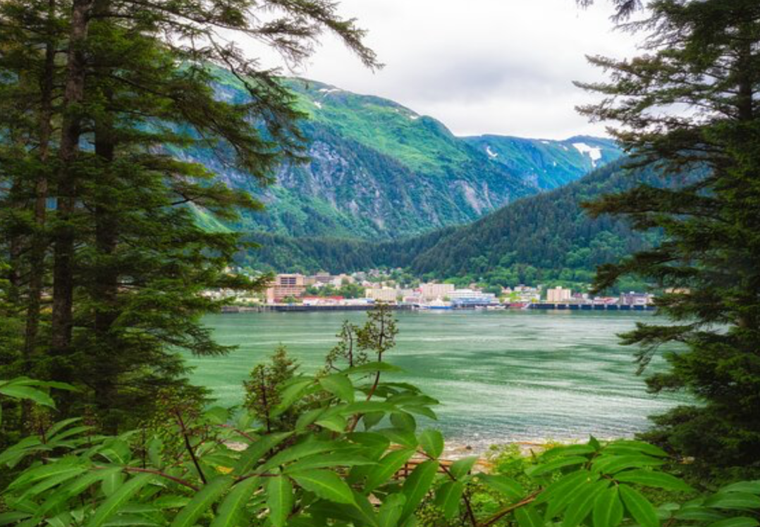 Juneau Mendenhall Glacier Express Bus | Alaska Shore Excursions