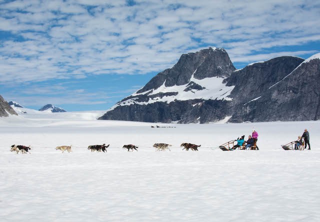 Photo of Juneau Extended Norris Glacier Dog Sledding Adventure