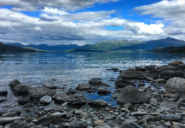Seward to Skilak Lake Backcountry Trip | Alaska Shore Excursions