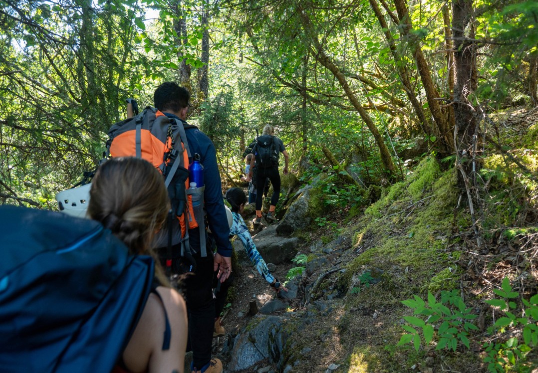 Juneau Guided Mendenhall Glacier Trek | Alaska Shore Excursions