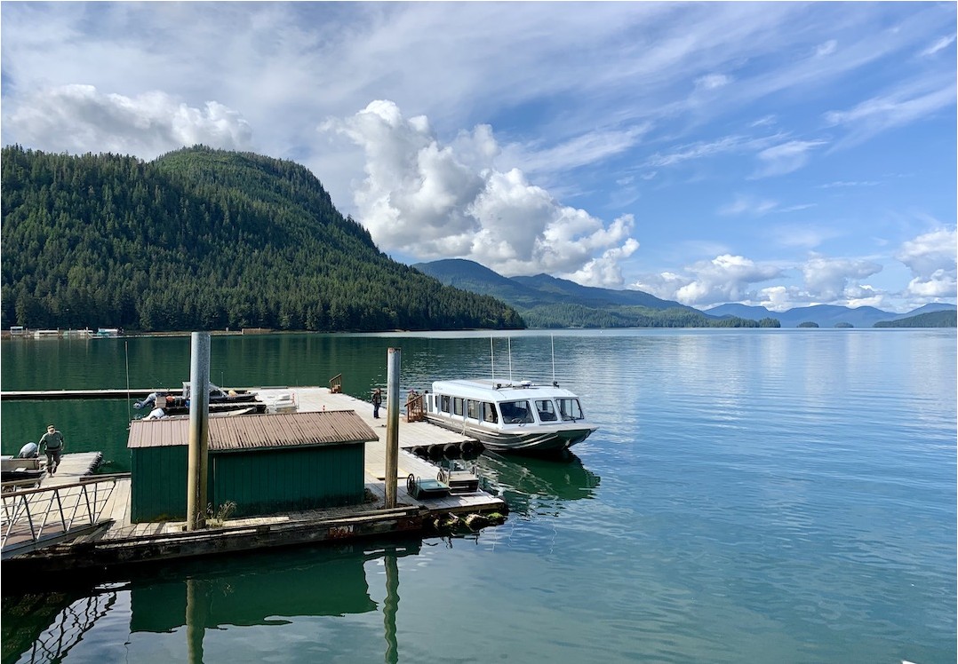 Neets Bay Bear Encounter by Land & Sea | Alaska Shore Excursions