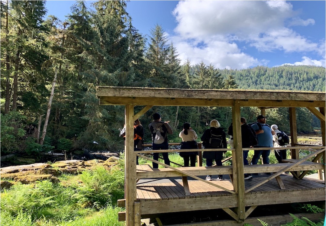 Neets Bay Bear Encounter by Land & Sea | Alaska Shore Excursions