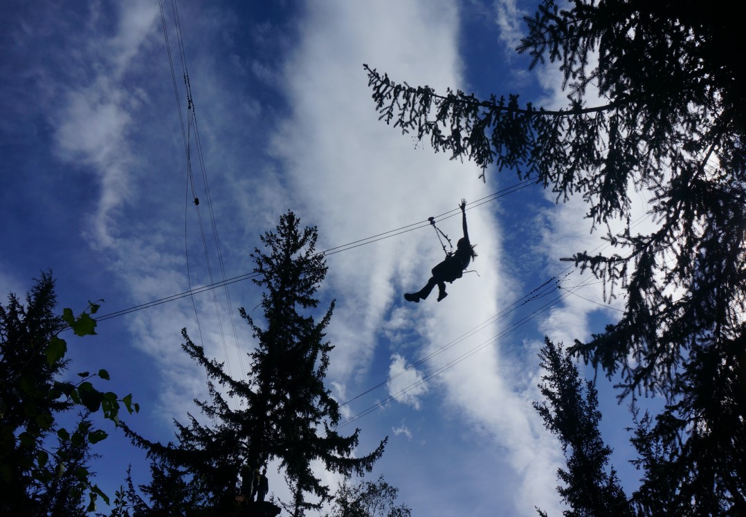 Skagway Adventure Park & Zipline Tour Alaska Shore Excursions