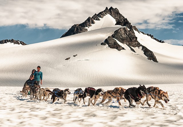 Seward Dog Sledding on Glacier & Helicopter Tour | Alaska Shore Excursions