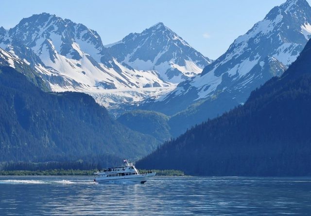 wildlife tour seward