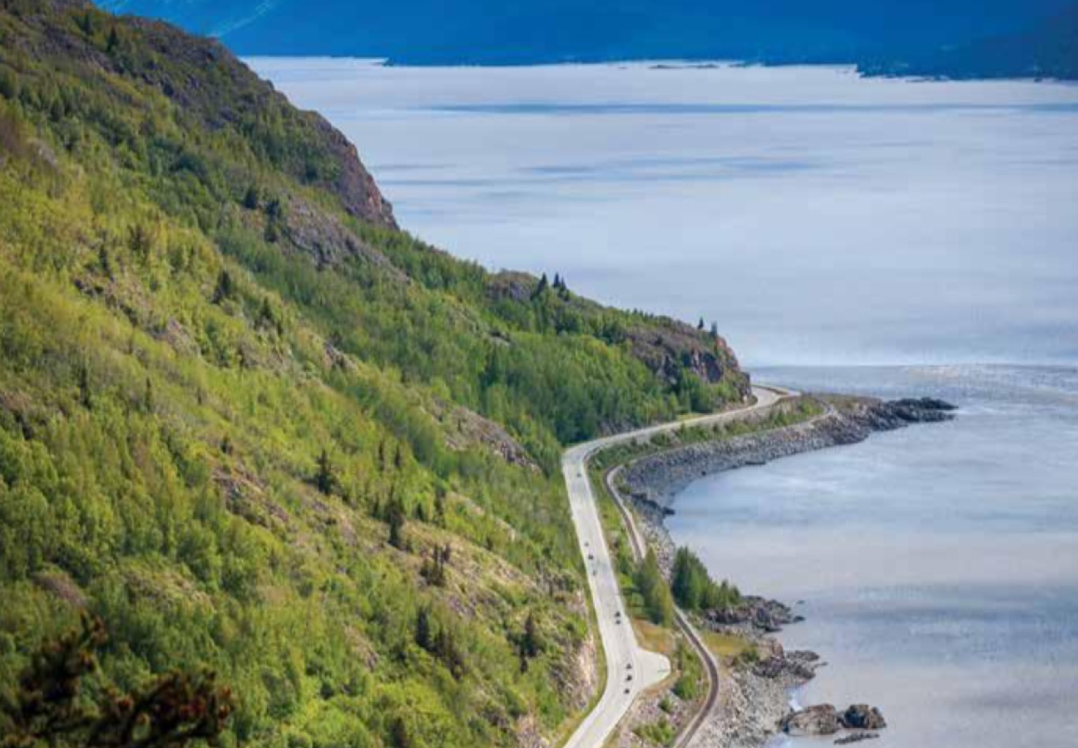 Bus Transfer: Seward to Anchorage Wildlife Adventure | Alaska Shore ...