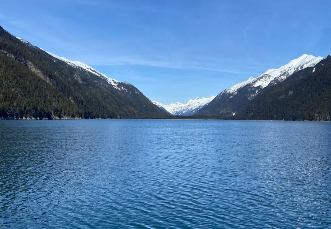 Skagway Waterfalls & Wildlife Boat Tour | Alaska Shore Excursions