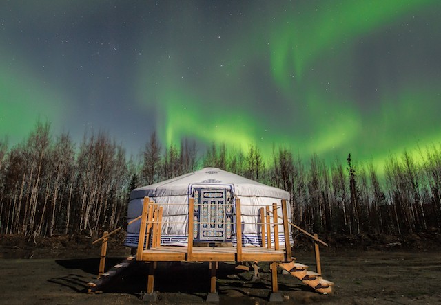 Photo of The Last Frontier Mushing Co op Mongolian Yurt