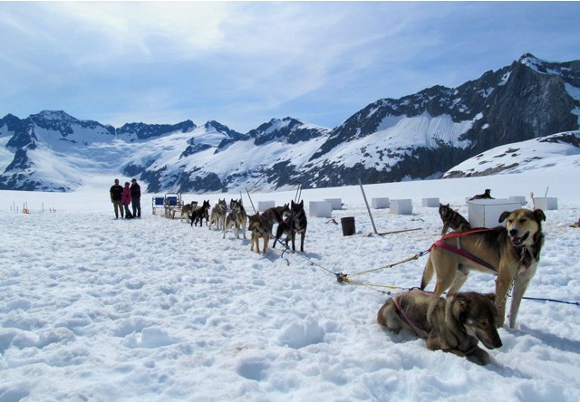 alaska cruises with excursions