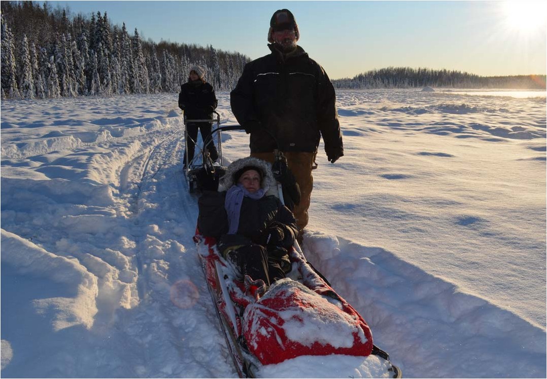 Anchorage Winter Dog Sledding Tour Alaska Shore Excursions